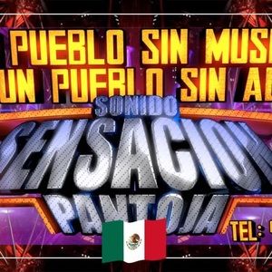 Meet your Posher, Pedro